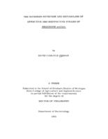 The nitrogen nutrition and metabolism of effective and ineffective strains of Rhizobium meliloti