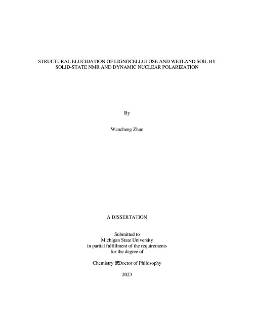 STRUCTURAL ELUCIDATION OF LIGNOCELLULOSE AND WETLAND SOIL BY SOLID-STATE NMR AND DYNAMIC NUCLEAR POLARIZATION