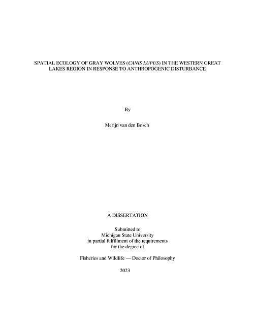 SPATIAL ECOLOGY OF GRAY WOLVES (CANIS LUPUS) IN THE WESTERN GREAT LAKES REGION IN RESPONSE TO ANTHROPOGENIC DISTURBANCE