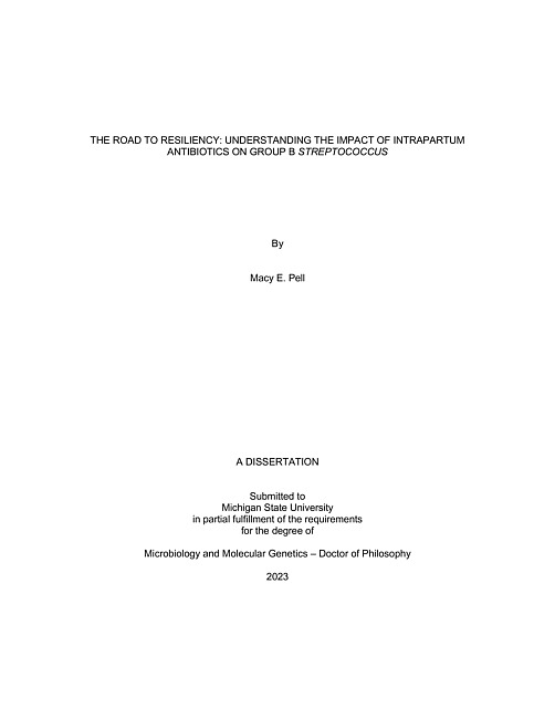 THE ROAD TO RESILIENCY : UNDERSTANDING THE IMPACT OF INTRAPARTUM ANTIBIOTICS ON GROUP B STREPTOCOCCUS