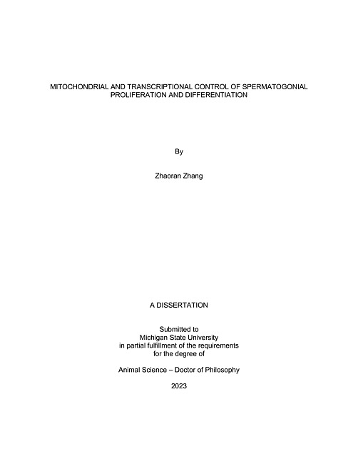 MITOCHONDRIAL AND TRANSCRIPTIONAL CONTROL OF SPERMATOGONIAL PROLIFERATION AND DIFFERENTIATION