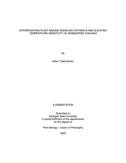INTERROGATING PLANT IMMUNE SIGNALING PATHWAYS AND ELEVATED TEMPERATURE SENSITIVITY IN ARABIDOPSIS THALIANA