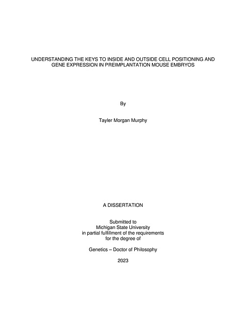 UNDERSTANDING THE KEYS TO INSIDE AND OUTSIDE CELL POSITIONING AND GENE EXPRESSION IN PREIMPLANTATION MOUSE EMBRYOS