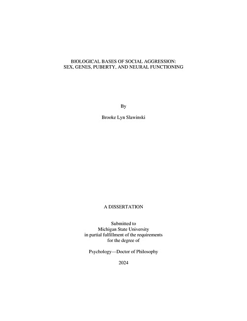 Biological bases of social aggression : Sex, genes, puberty, and neural functioning