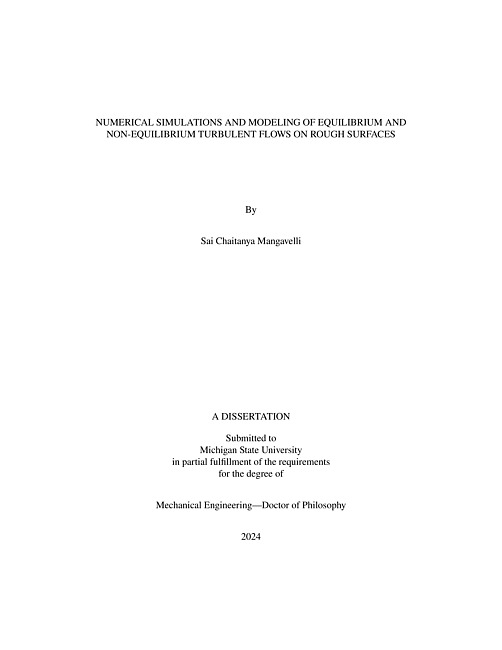 NUMERICAL SIMULATIONS AND MODELING OF EQUILIBRIUM AND NON-EQUILIBRIUM TURBULENT FLOWS ON ROUGH SURFACES