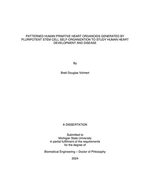 PATTERNED HUMAN PRIMITIVE HEART ORGANOIDS GENERATED BY PLURIPOTENT STEM CELL SELF-ORGANIZATION TO STUDY HUMAN HEART DEVELOPMENT AND DISEASE