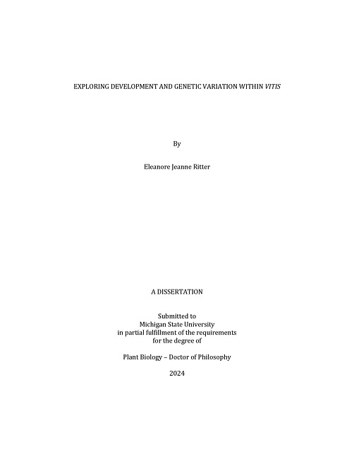 EXPLORING DEVELOPMENT AND GENETIC VARIATION WITHIN VITIS