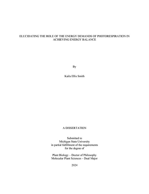 Elucidating the role of the energy demands of photorespiration in achieving energy balance