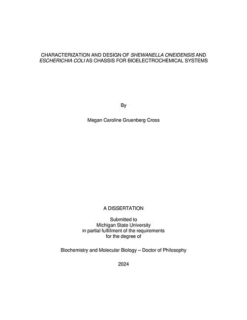 CHARACTERIZATION AND DESIGN OF SHEWANELLA ONEIDENSIS AND ESCHERICHIA COLI AS CHASSIS FOR BIOELECTROCHEMICAL SYSTEMS