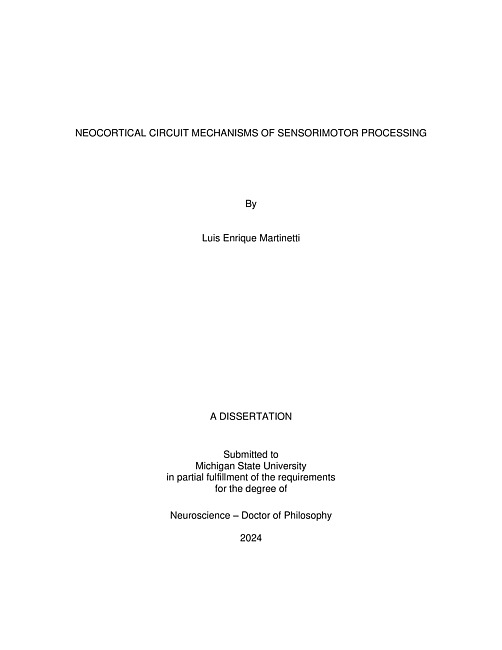 NEOCORTICAL CIRCUIT MECHANISMS OF SENSORIMOTOR PROCESSING