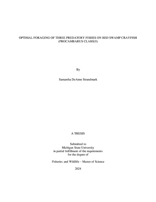 OPTIMAL FORAGING OF THREE PREDATORY FISHES ON RED SWAMP CRAYFISH (PROCAMBARUS CLARKII).