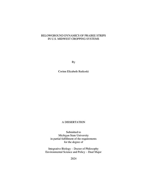 BELOWGROUND DYNAMICS OF PRAIRIE STRIPS IN U.S. MIDWEST CROPPING SYSTEMS
