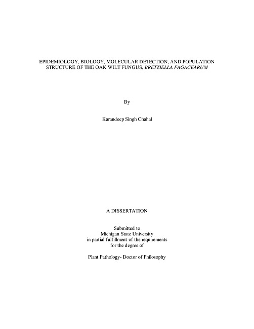 EPIDEMIOLOGY, BIOLOGY, MOLECULAR DETECTION, AND POPULATION STRUCTURE OF THE OAK WILT FUNGUS, BRETZIELLA FAGACEARUM