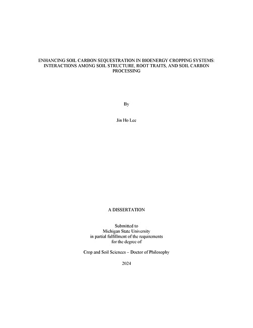 ENHANCING SOIL CARBON SEQUESTRATION IN BIOENERGY CROPPING SYSTEMS : INTERACTIONS AMONG SOIL STRUCTURE, ROOT TRAITS, AND SOIL CARBON PROCESSING