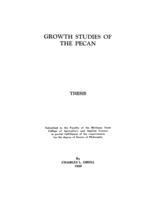 Growth studies of the pecan