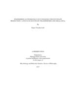 Engineering Actinobacillus succinogenes for succinate production : a focus on succinate transporters and small RNAs