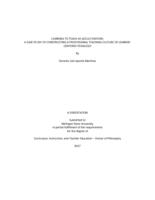 Learning to teach as acculturation : a case study of constructing a professional teaching culture of learner-centered pedagogy