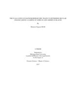 The evaluation of macromorphoscopic traits to determine secular change among a sample of African and American Blacks