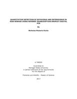 Quantitative detection of rotavirus and enterovirus in raw sewage using reverse transcription droplet digital PCR