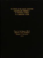 The effects of the aquatic angiosperm Ceratophyllum demersum L. on phosphorus dynamics in a laboratory system