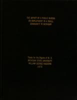 The impact of a public marina on employment in a small community in Michigan