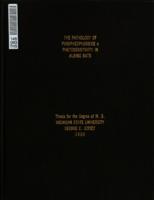 The pathology of pyropheophorbide a photosensitivity in albino rats