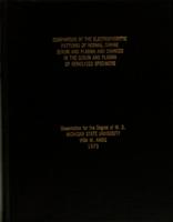 Comparison of the electrophoretic patterns of normal canine serum and plasma and changes in the serum and plasma of hemolyzed specimens