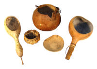 Gourd dippers