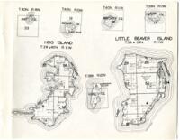 Hog Islands/Little Beaver Island, Township 39 & 40N/38 & 39N Range 9W/11W