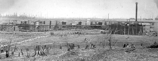 Cutler and Savidge Lumber Mill