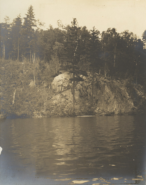 Teal Lake shoreline