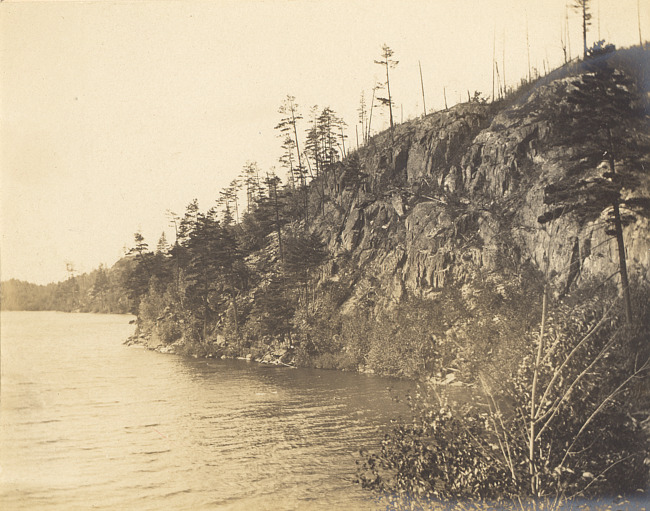 Teal Lake shoreline