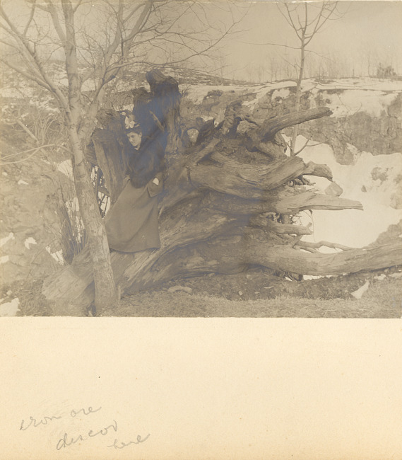 Woman with tree stump in Negaunee