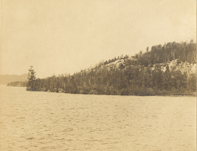 Teal Lake shoreline