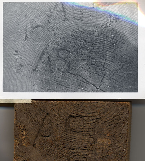 Alex Radgers & Co log mark