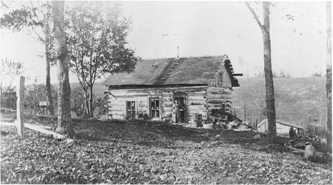 A log home in Atwood