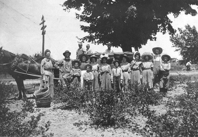 Gooseberry farm workers from Fremont