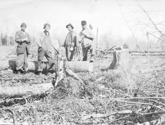 Four people clearing land
