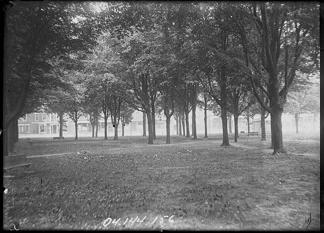 Kellogg Park looking toward Main Street through the Trees