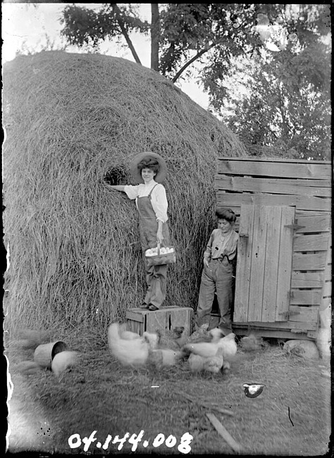 Two young women gathering eggs