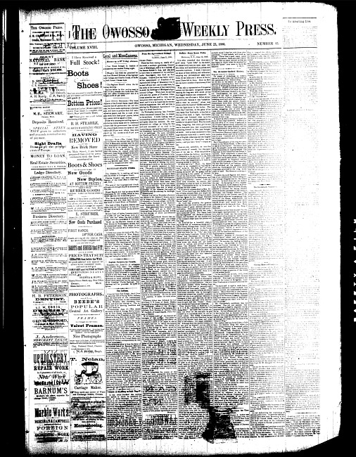 The Owosso Weekly Press. (1880 June 23)