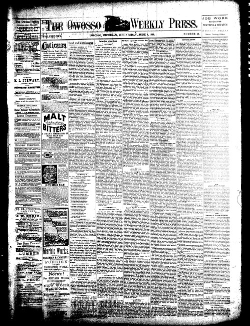 The Owosso Weekly Press. (1881 June 8)