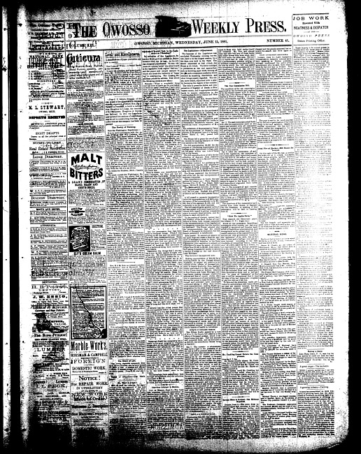 The Owosso Weekly Press. (1881 June 15)