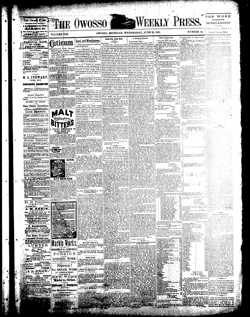 The Owosso Weekly Press. (1881 June 29)
