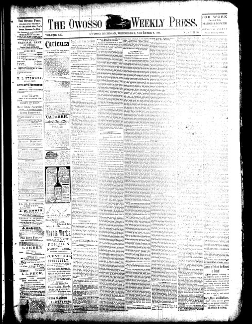 The Owosso Weekly Press. (1881 November 9)