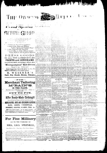 The Owosso Weekly Press. (1882 May 17)