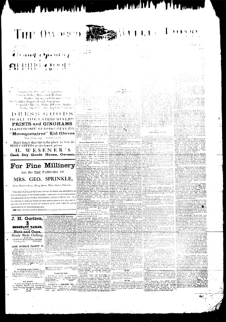 The Owosso Weekly Press. (1882 June 21)