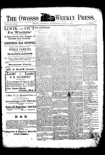 The Owosso Weekly Press. (1885 June 10)