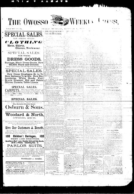 The Owosso Weekly Press. (1889 June 5)