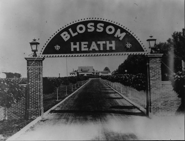 Blossom Heath Inn c. 1920s